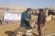  برگزاری اردوی جهادی دامپزشکی در روستای بن عمادازتوابع شهرستان گراش