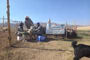 "برگزاری اردوی جهادی دامپزشکی در منطقه عشایری شهرستان آباده