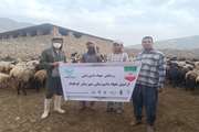 اردوی جهادی دامپزشکی شهرستان کوه چنار